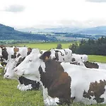 Le Du Roc